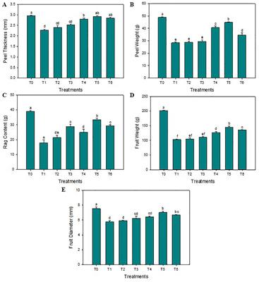 Differential impact of plant-based selenium nanoparticles on physio-biochemical properties, antioxidant defense system and protein regulation in fruits of huanglongbing-infected ‘Kinnow’ mandarin plants